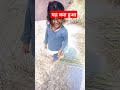 पैदा हुए पैदा हुए थे तो मातम चढ़ाया था हमने तो किसी के बुलाते हो बाबूजी #song #love