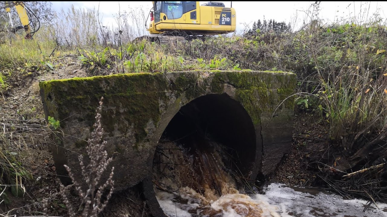 Бобровая плотина в трубе