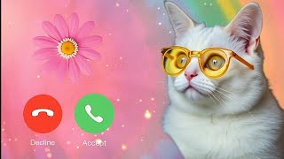 Mp3 Cat Ringtone 🎶 White Cat yellow glasses Effect 🎶 Tone Call Video 