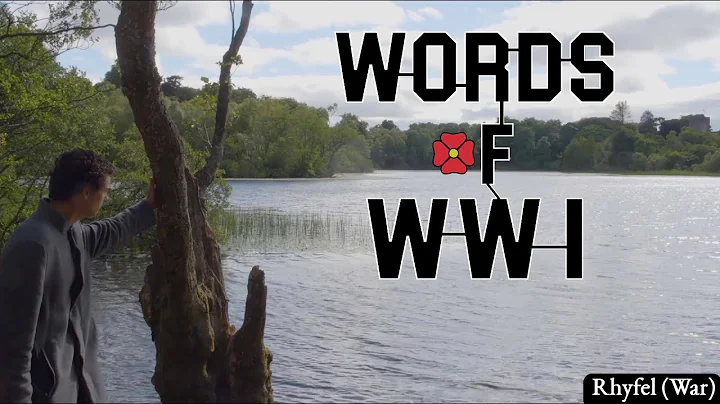 Rhyfel (War) by Ellis Evans