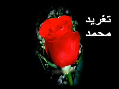 سيف الجامعة زولة