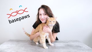 Basepaws Cat DNA Test Review (We Tested It)