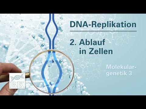 Video: Welche Fehler können bei der DNA-Replikation auftreten?