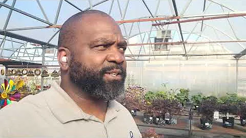 2024 Calloway's Nursery RARE Plant Inventory Spring Stock