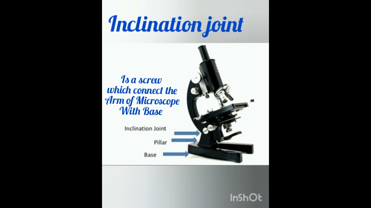 inclination joint microscope definition