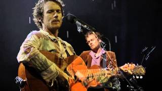 Damien Rice     Accidental Babies