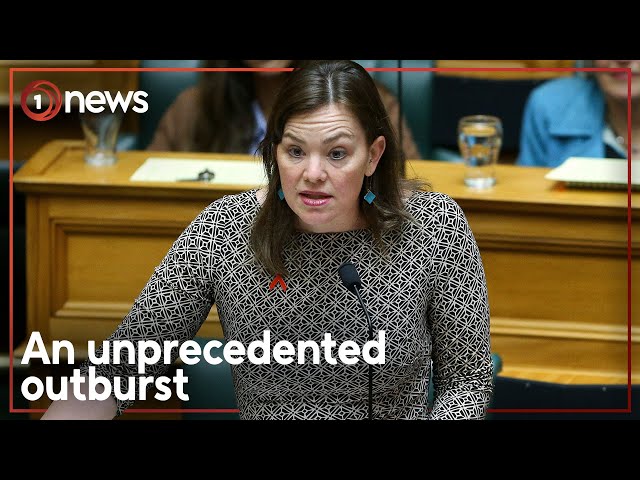 What led Green MP Julie Anne Genter to get in minister's face in Parliament? | 1News class=