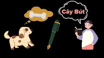 Câu chuyện cây bút | KNSV TV