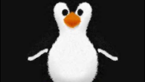 Schiffie & Co - De pinguindans