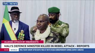 Mali’s Defence Minister Killed in Rebel Attack – Report