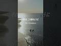 【京都発バンド】それは、この海のように / The Slumbers各種サブスクでも、是非チェックお願いします！#ロックバンド #邦ロック #京都 #TheSlumbes #shorts