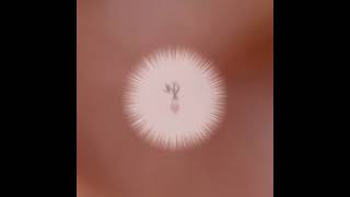 Celebrity 14k gold flat back stud Earring Jewelry Profile