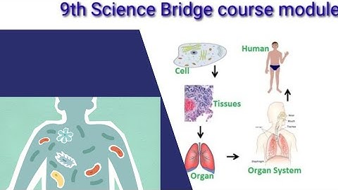 9th Science Bridge course module- Organisation of Life  - Tamil and English Medium with evaluation