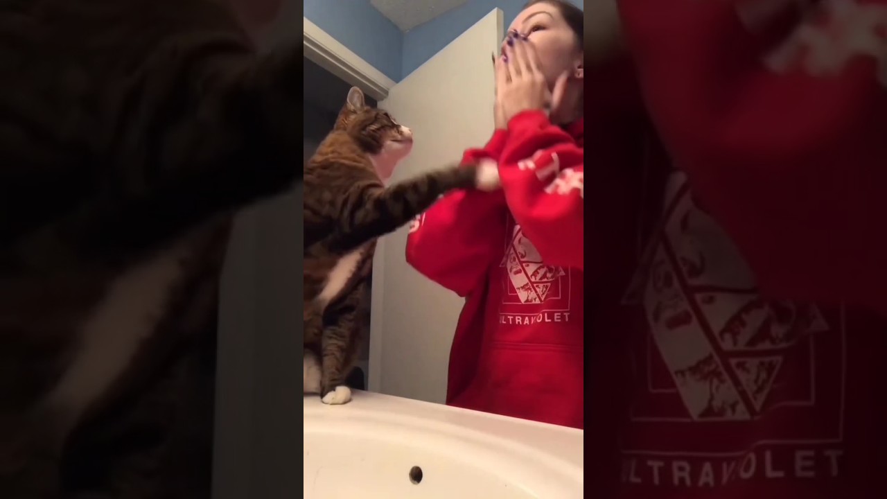 Cat's Bridal Makeup 💄😺