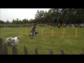 Lokiatagility june2016 の動画、YouTube動画。