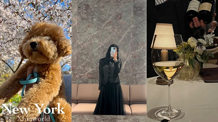 NYC Vlog |    |   (ft. ) |  | Fasano