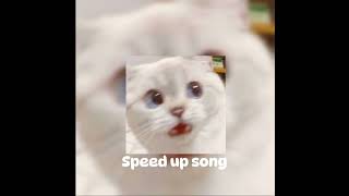 Speed up song :3