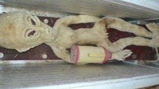 Chinese Man Arrested for Fake Alien Story