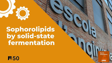 Sophorolipids by solid-state fermentation