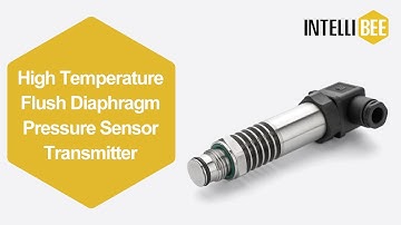 AP25 High Temperature Flush Diaphragm Pressure Transmitter, Sensor, Transducer - IntelliBee Sensor