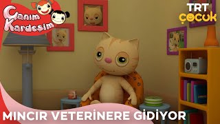 TRT ÇOCUK / CANIM KARDEŞİM / MINCIR VETERİNERE GİDİYOR