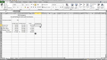 Absolute Cell References
