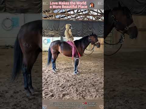 This is unconditional love❤ #fyp #horses #horsesonyoutube#love#animal lovers#horse thumbnail