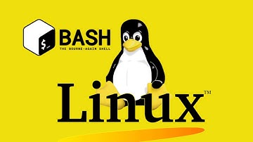 Run a Web and DNS Server on Linux (Bind9, Apache2, PHP, MySql, Wordpress)