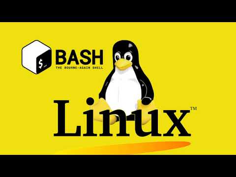 Run a Web and DNS Server on Linux (Bind9, Apache2, PHP, MySql, Wordpress)