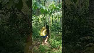Namutong Me Lianie Jadol
