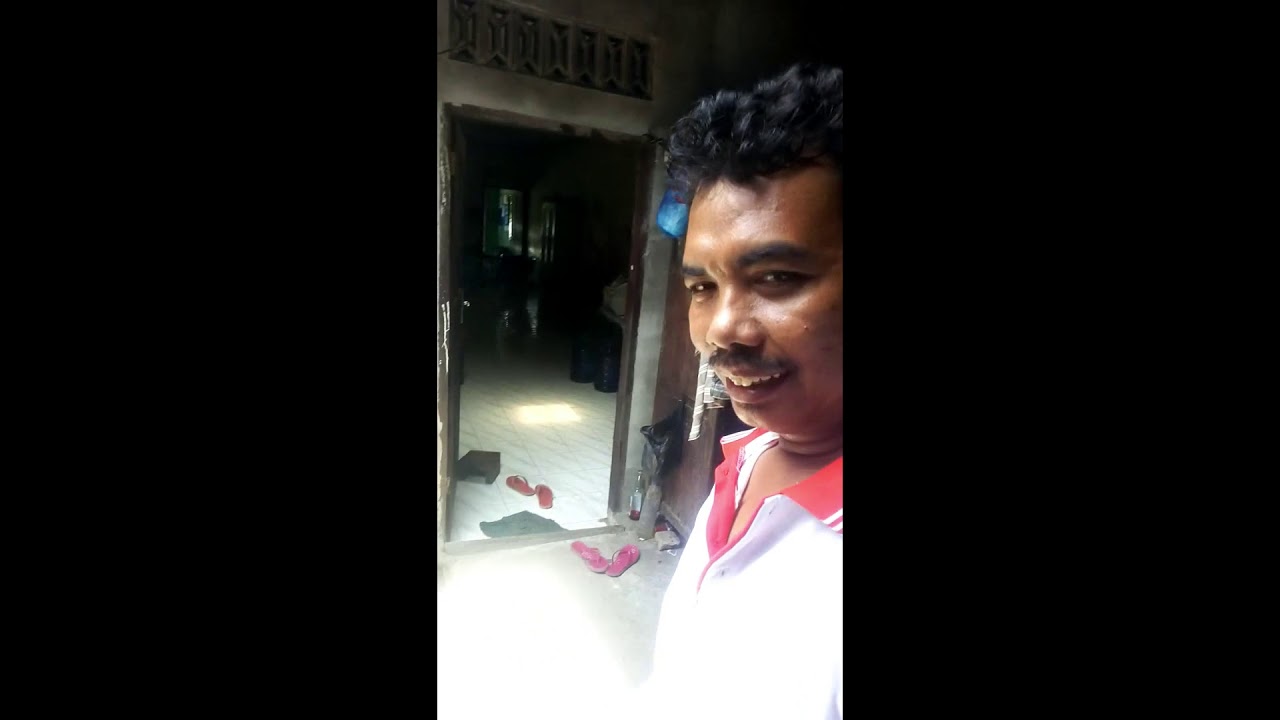Pelihara lele Di ember di masa pandemi. 