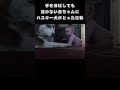 手を伸ばしても届かない赤ちゃんにハスキー犬がとった行動は...