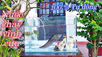 Nước chảy vĩnh cửu - Làm máy bơm nước Tự Động cho Bể Cá không dùng động cơ