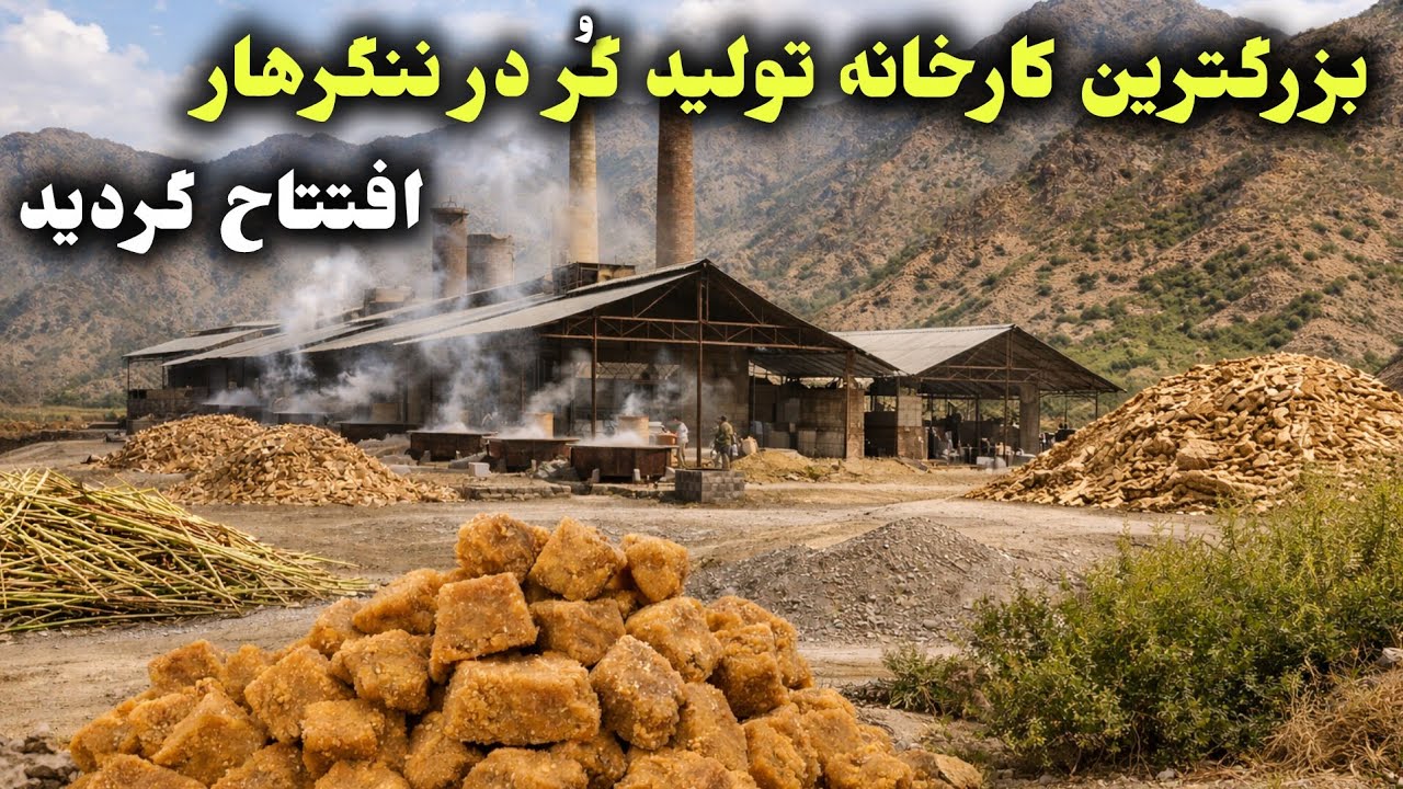 کارخانه گر در ننگرهار تولید روزانه ۱۰۰۰ ها کیلو - YouTube