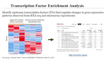 ChEA3: Transcription Factor Enrichment Analysis