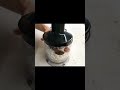 Сырники ПП рецепты на каждый день!  #сырники #ппрецепты
