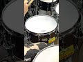CANOPUS 限定スネア ウェンジ&amp;バーチ 11ply 14x6.5 #shorts