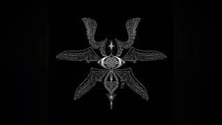 Ptasinski - Light (Slowed   Reverb)