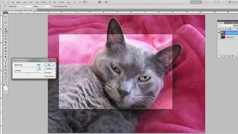photoshop selection tools 002 invert selection