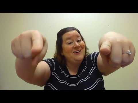 Dinosaurs on Kitty Island Storytime