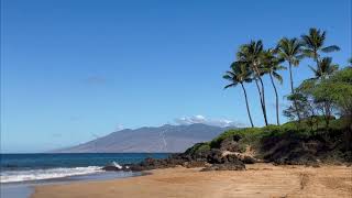 Poolenalena Beach Wedding | Aloha Maui Dream Weddings | Maui Beach Wedding, Elopement & Vow Renewal