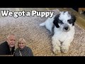 Meet Ralphy our 10 week old Cavapoo