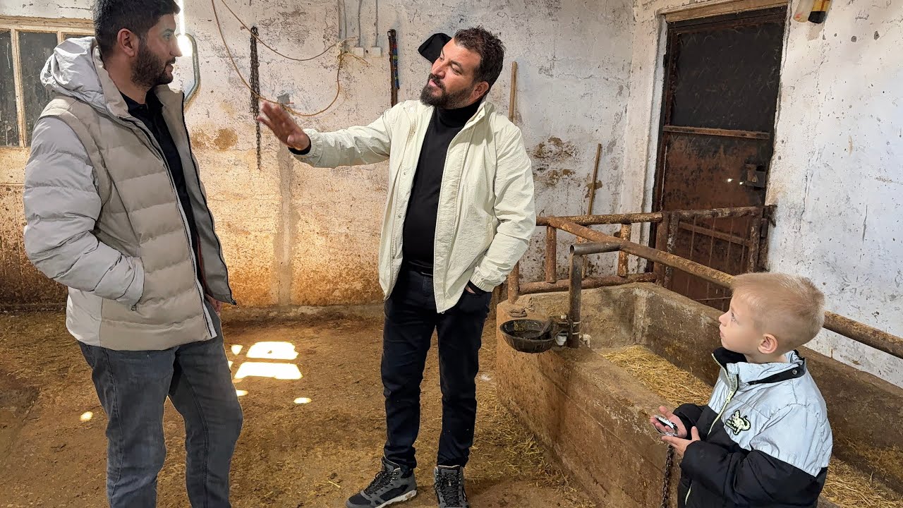 KUZU VERDİK DÜVE ALDIK DANA VERDİK BUZA ALDIK