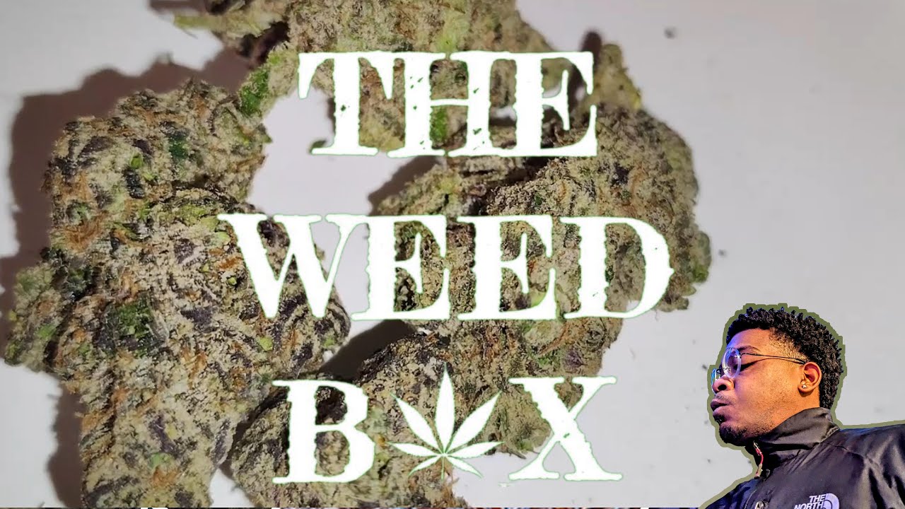 Have you TRIED Rainbow Berries | The Weed Box 🍃