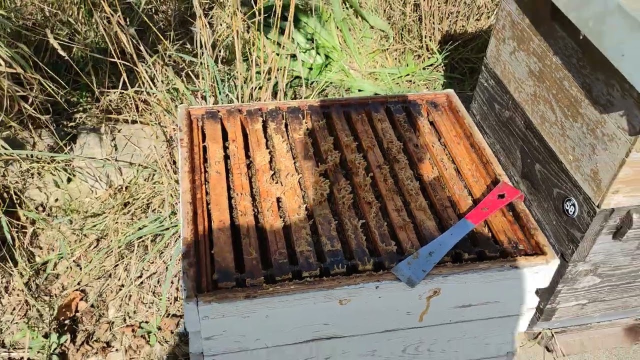 Sta sa polunastavkom