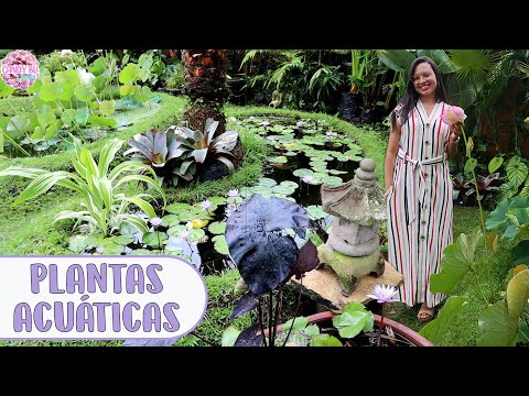 Video: 7 Peligros de plantas y jardines de otoño para mascotas