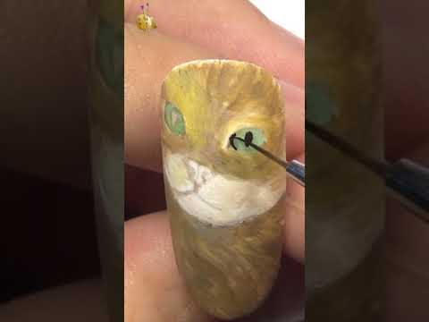Video Cat design on Nails l Vẽ mèo trên móng tay #Shorts - youtube