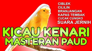 KENARI ISIAN CIBLEK,CILILIN,BRANJANGAN,KAPAS TEMBAK,CUCAK CUNGKO TEMBAKAN GACOR || GACOR PANJANG‼️