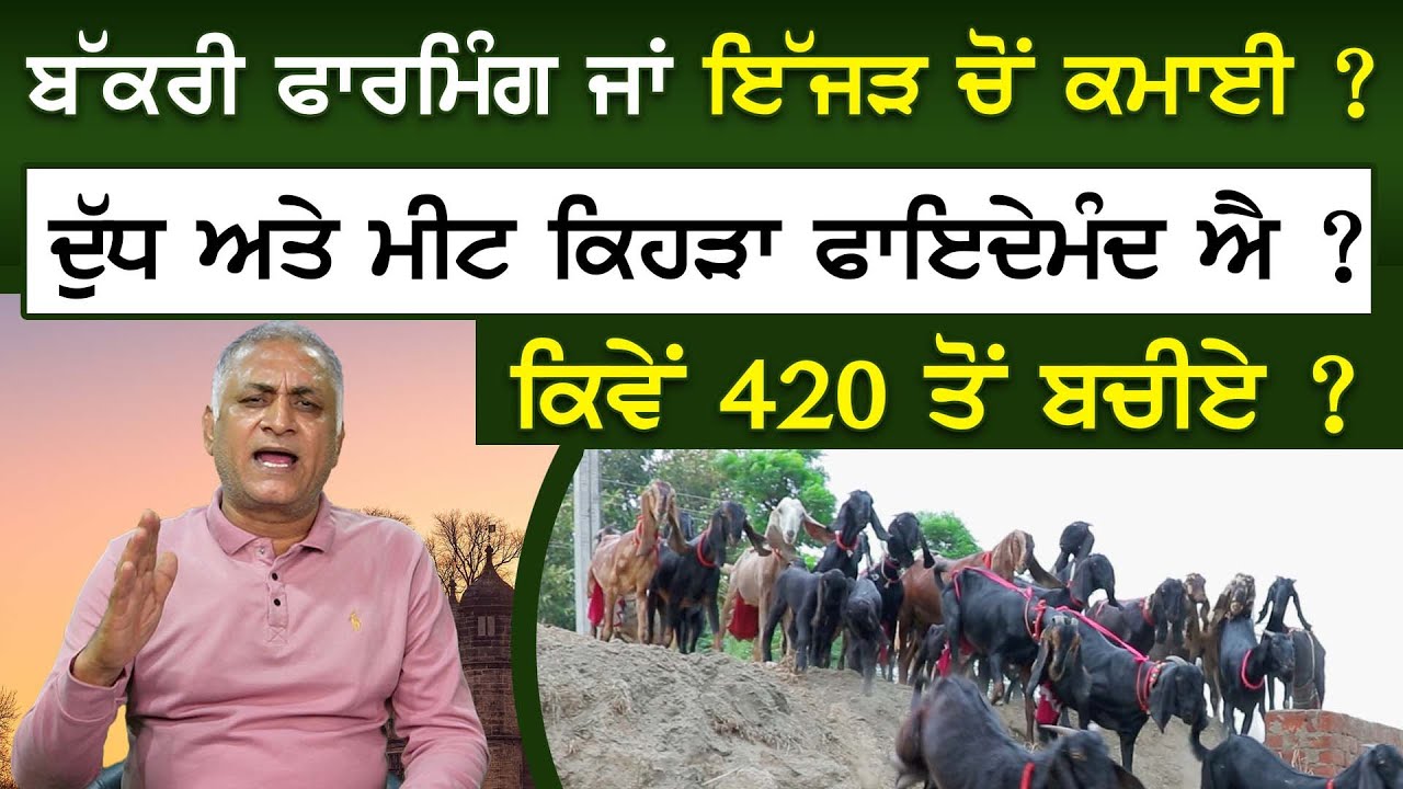 Bakri Farming ਜਾਂ ਇੱਜੜ ਚੋਂ ਕਮਾਈ ? | Goat Farming | Chicken Farming | Rakesh Kumar Ghattu | Sirlekh