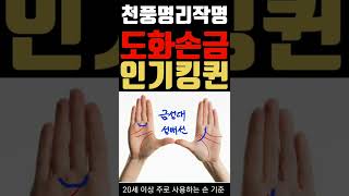 남녀노소 누구에게나 인기 많은 손금의 도화살